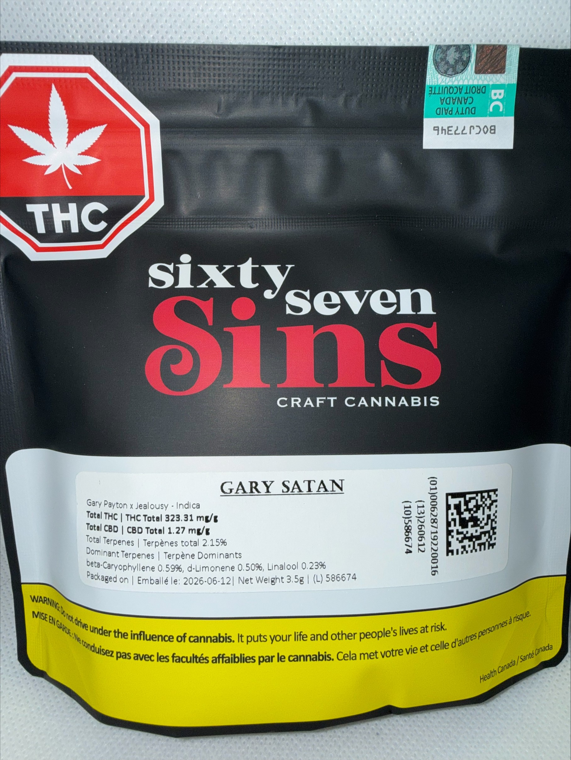 SIXTY SEVEN SINS - GARY SATAN