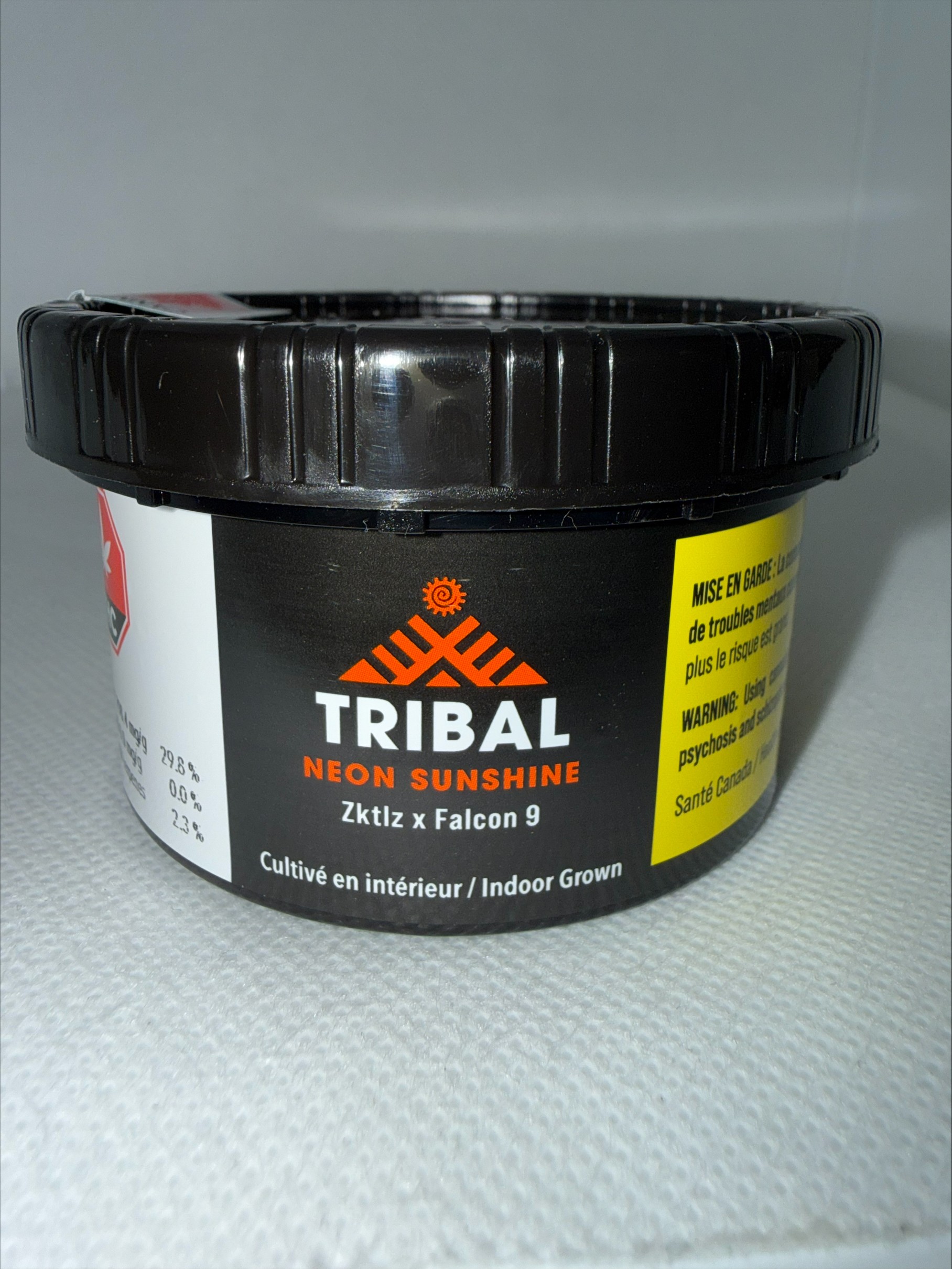 TRIBAL - NEON SUNSHINE