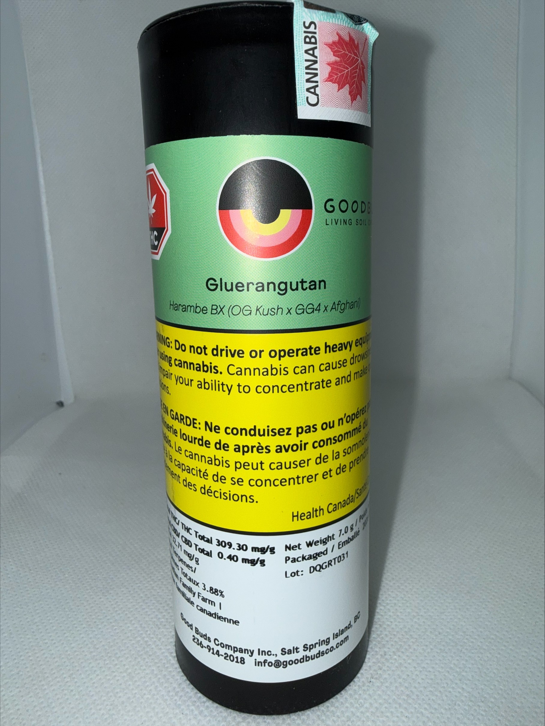 GOOD BUDS - GLUERANGUTAN